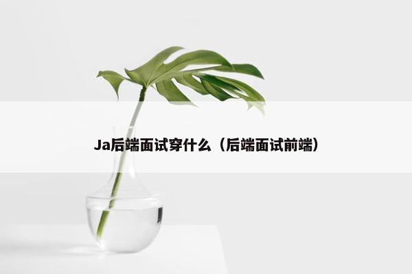 Ja后端面试穿什么（后端面试前端）