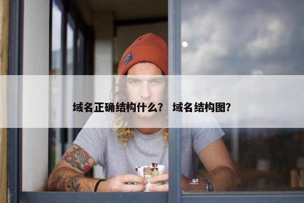 域名正确结构什么？ 域名结构图？