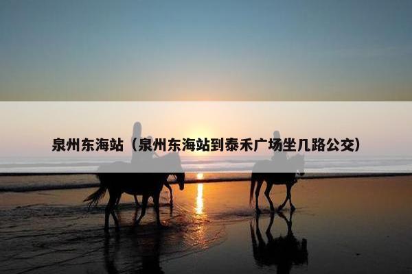 泉州东海站（泉州东海站到泰禾广场坐几路公交）