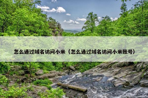 怎么通过域名访问小米（怎么通过域名访问小米账号）