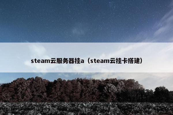 steam云服务器挂a（steam云挂卡搭建）
