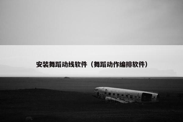 安装舞蹈动线软件（舞蹈动作编排软件）