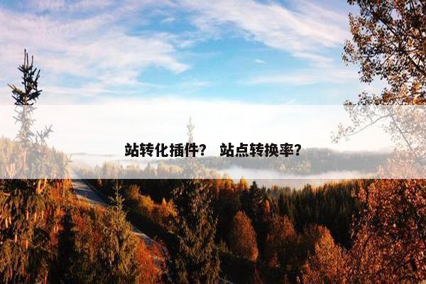 站转化插件? 站点转换率? 站转化插件? 站点转换率?