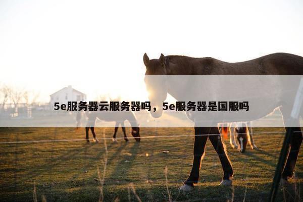 5e服务器云服务器吗，5e服务器是国服吗