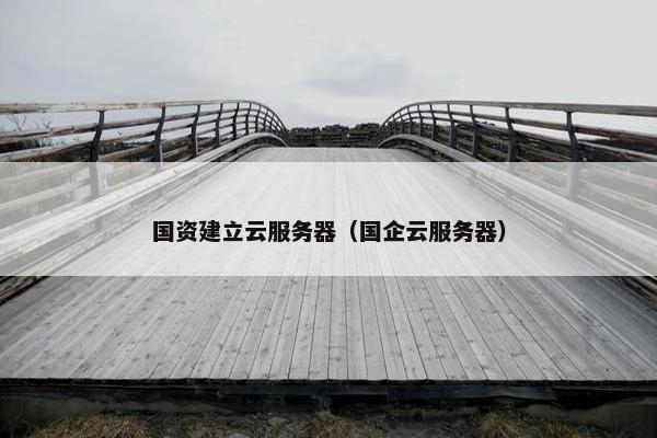 国资建立云服务器（国企云服务器）