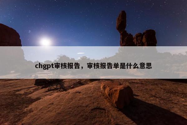 chgpt审核报告，审核报告单是什么意思