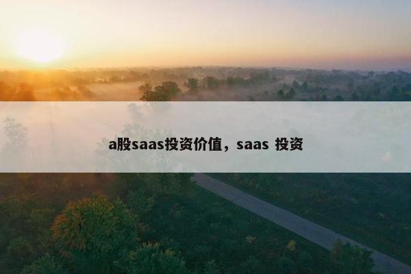 a股saas投资价值，saas 投资