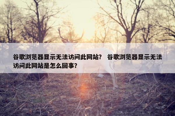 谷歌浏览器显示无法访问此网站？ 谷歌浏览器显示无法访问此网站是怎么回事？