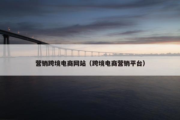 营销跨境电商网站（跨境电商营销平台）