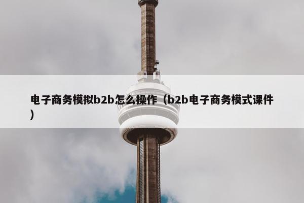 电子商务模拟b2b怎么操作(b2b电子商务模式课件) 电子商务模拟b2b怎么操作(b2b电子商务模式课件)