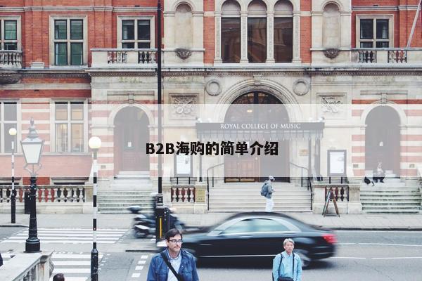 B2B海购的简单介绍