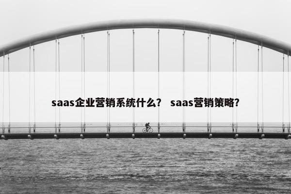 saas企业营销系统什么？ saas营销策略？