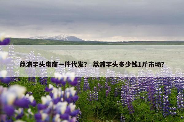 荔浦芋头电商一件代发？ 荔浦芋头多少钱1斤市场？