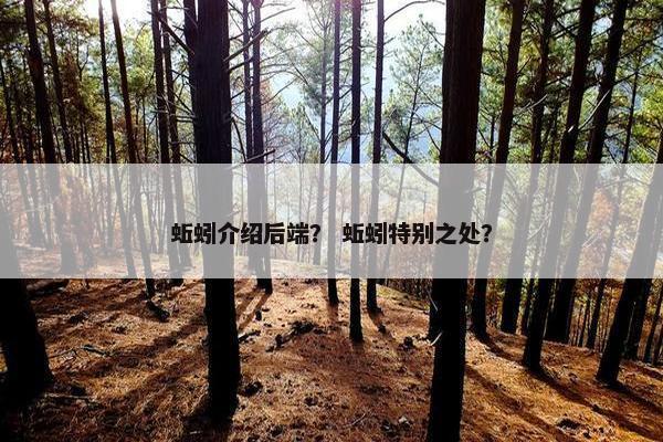 蚯蚓介绍后端？ 蚯蚓特别之处？