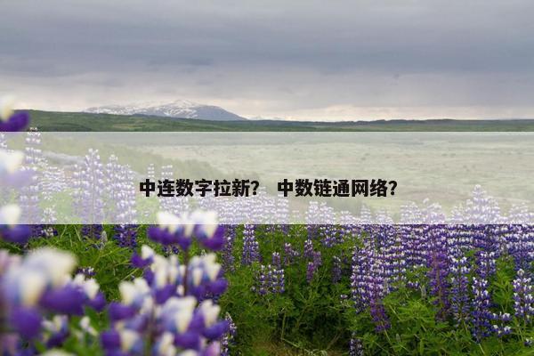 中连数字拉新？ 中数链通网络？