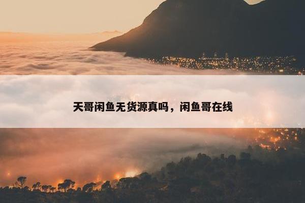 天哥闲鱼无货源真吗，闲鱼哥在线