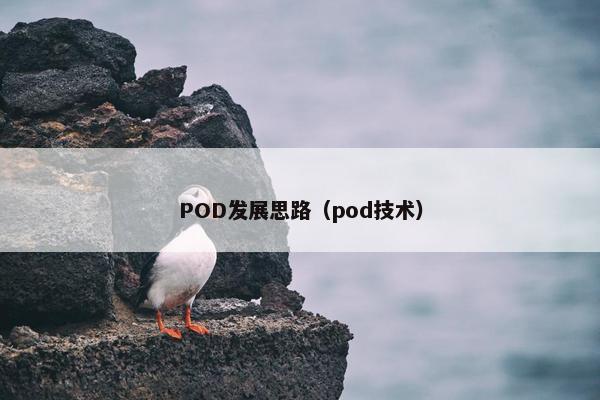 POD发展思路（pod技术）