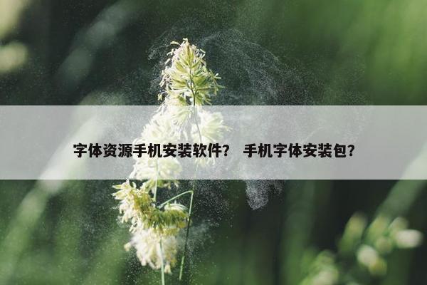 字体资源手机安装软件？ 手机字体安装包？