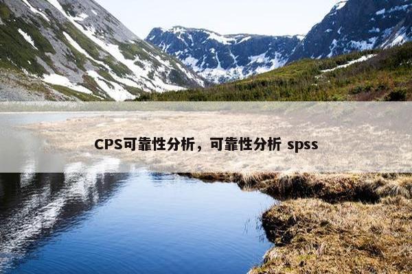 CPS可靠性分析，可靠性分析 spss