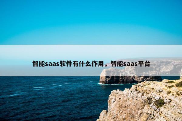 智能saas软件有什么作用，智能saas平台