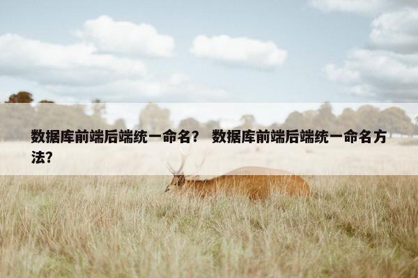 数据库前端后端统一命名？ 数据库前端后端统一命名方法？