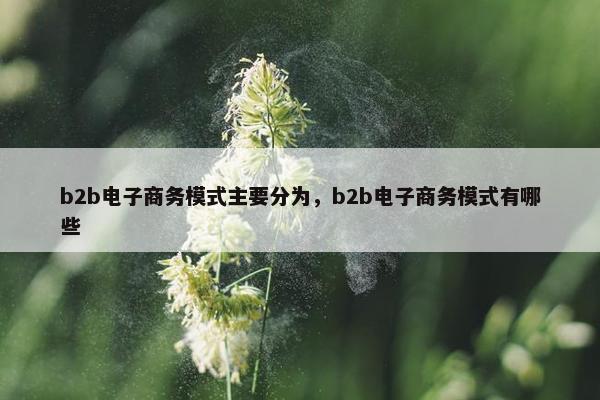 b2b电子商务模式主要分为，b2b电子商务模式有哪些