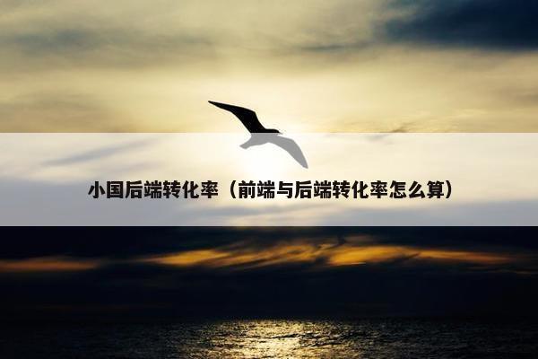 小国后端转化率（前端与后端转化率怎么算）