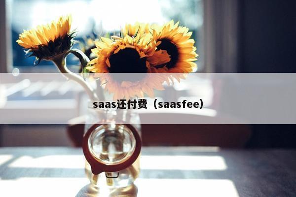 saas还付费（saasfee）