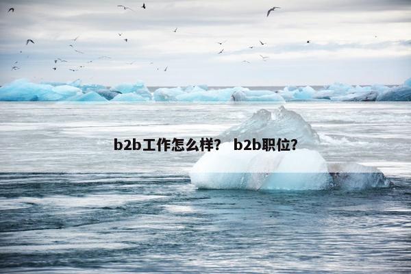 b2b工作怎么样？ b2b职位？