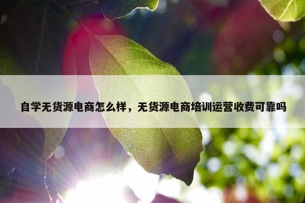 自学无货源电商怎么样，无货源电商培训运营收费可靠吗