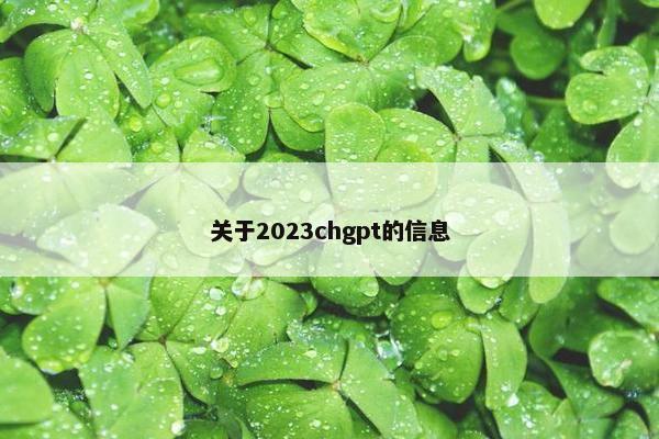 关于2023chgpt的信息