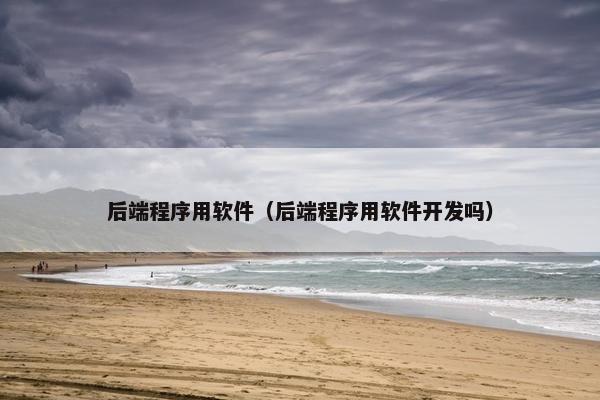 后端程序用软件（后端程序用软件开发吗）