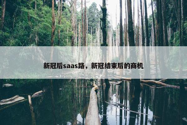 新冠后saas路，新冠结束后的商机