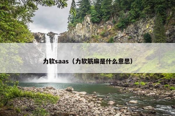 力软saas（力软筋麻是什么意思）