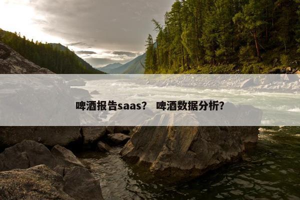 啤酒报告saas？ 啤酒数据分析？