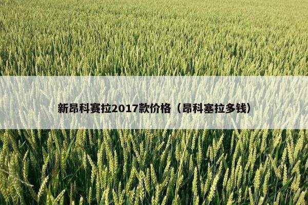 新昂科赛拉2017款价格（昂科塞拉多钱）