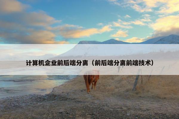 计算机企业前后端分离（前后端分离前端技术）