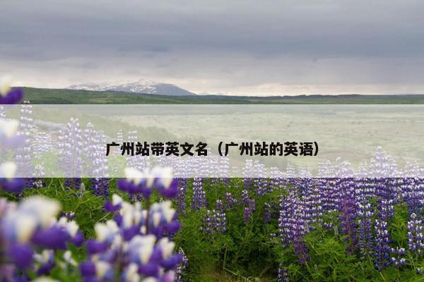 广州站带英文名（广州站的英语）