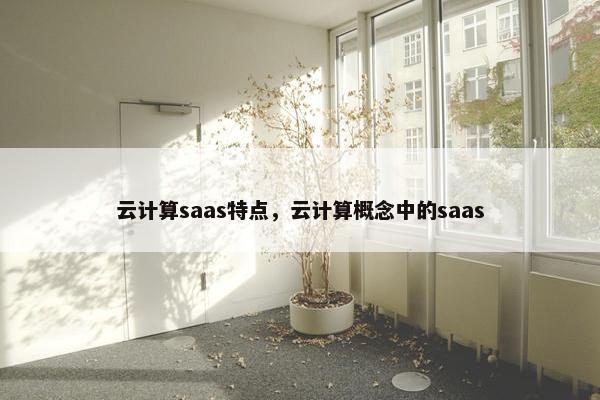 云计算saas特点，云计算概念中的saas