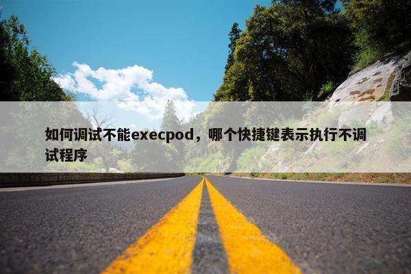 如何调试不能execpod，哪个快捷键表示执行不调试程序
