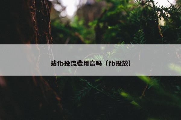 站fb投流费用高吗（fb投放）