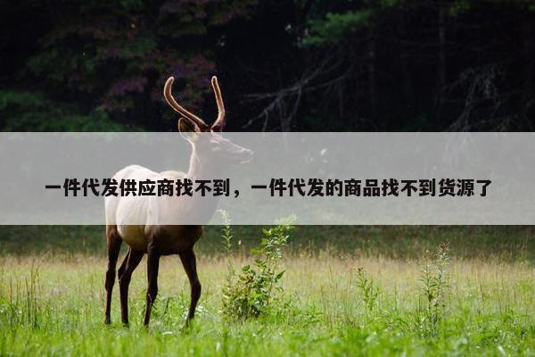 一件代发供应商找不到，一件代发的商品找不到货源了