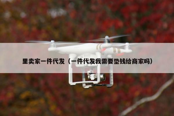 里卖家一件代发(一件代发我需要垫钱给商家吗) 里卖家一件代发(一件代发我需要垫钱给商家吗)