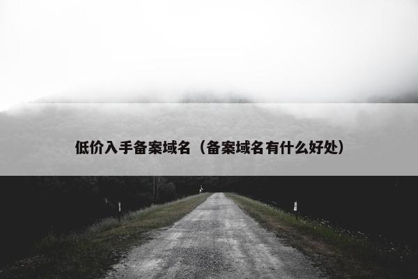 低价入手备案域名（备案域名有什么好处）