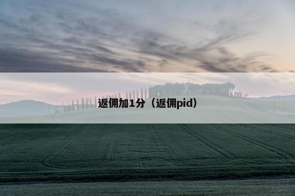 返佣加1分（返佣pid）