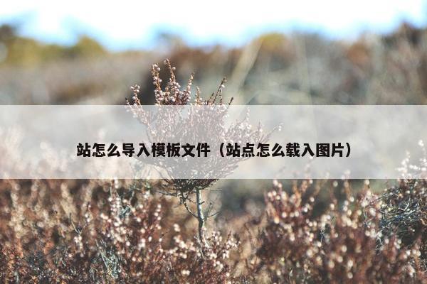 站怎么导入模板文件（站点怎么载入图片）