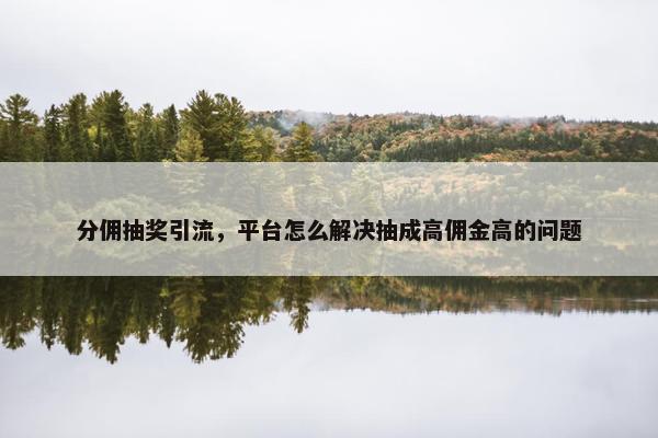 分佣抽奖引流，平台怎么解决抽成高佣金高的问题