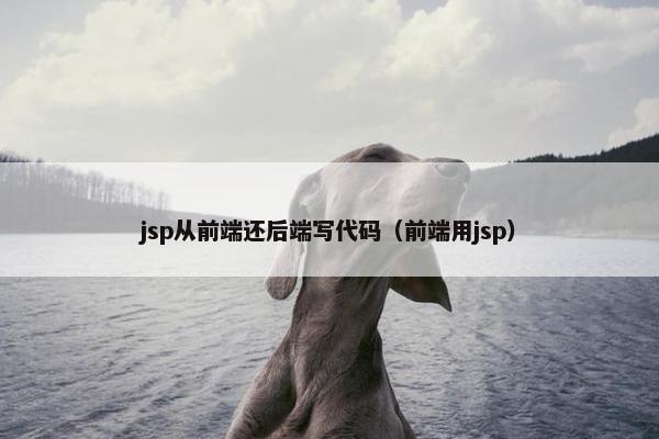 jsp从前端还后端写代码（前端用jsp）