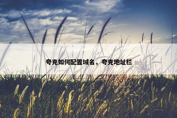 夸克如何配置域名，夸克地址栏