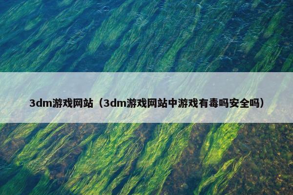 3dm游戏网站（3dm游戏网站中游戏有毒吗安全吗）